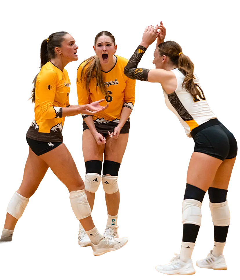 Volleyball players